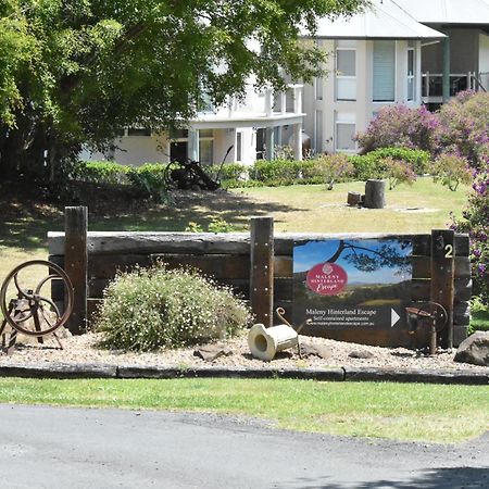 Maleny Hinterland Escape Appartement Witta Buitenkant foto