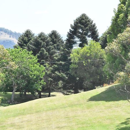 Maleny Hinterland Escape Appartement Witta Buitenkant foto