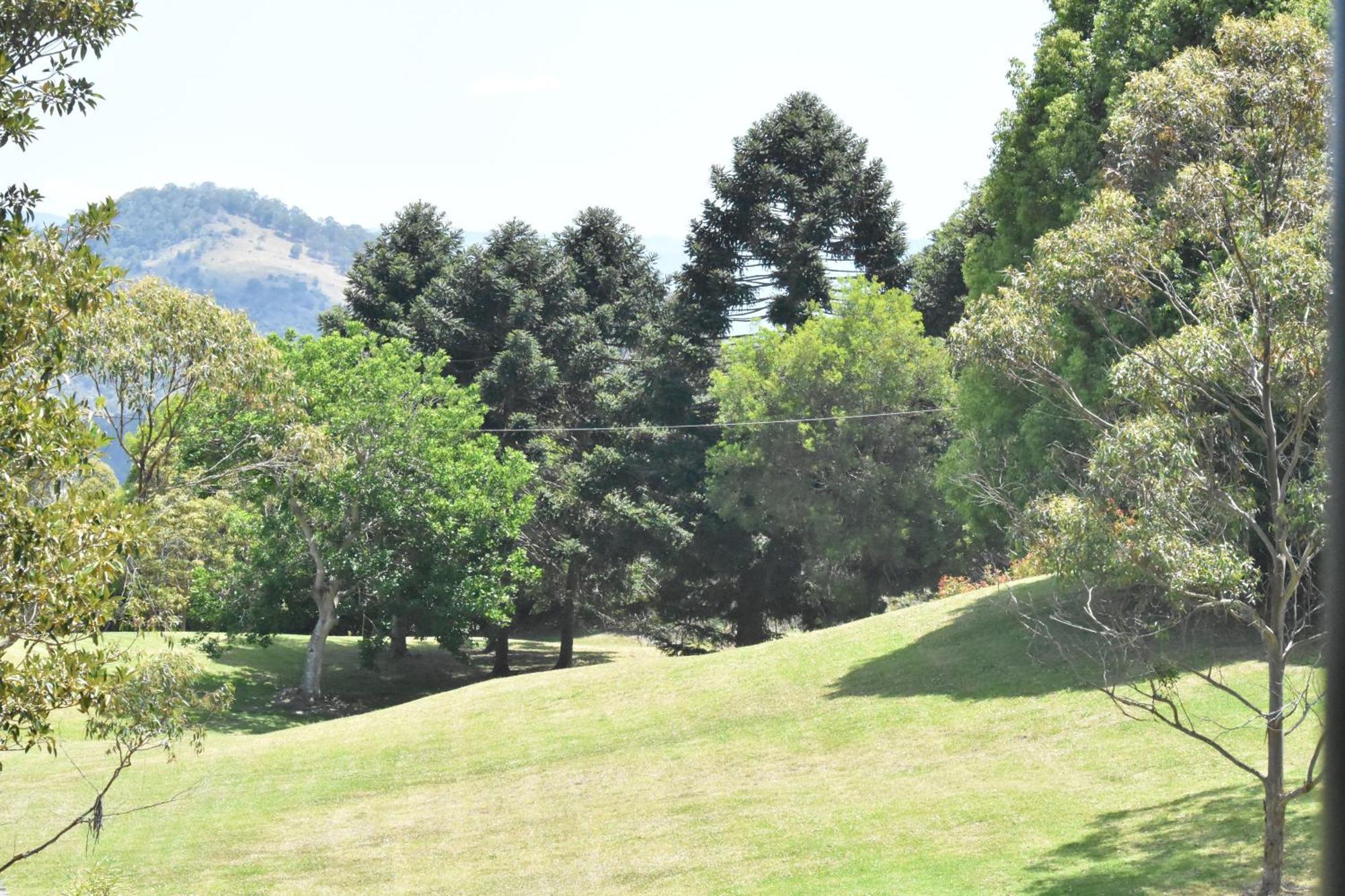 Maleny Hinterland Escape Appartement Witta Buitenkant foto
