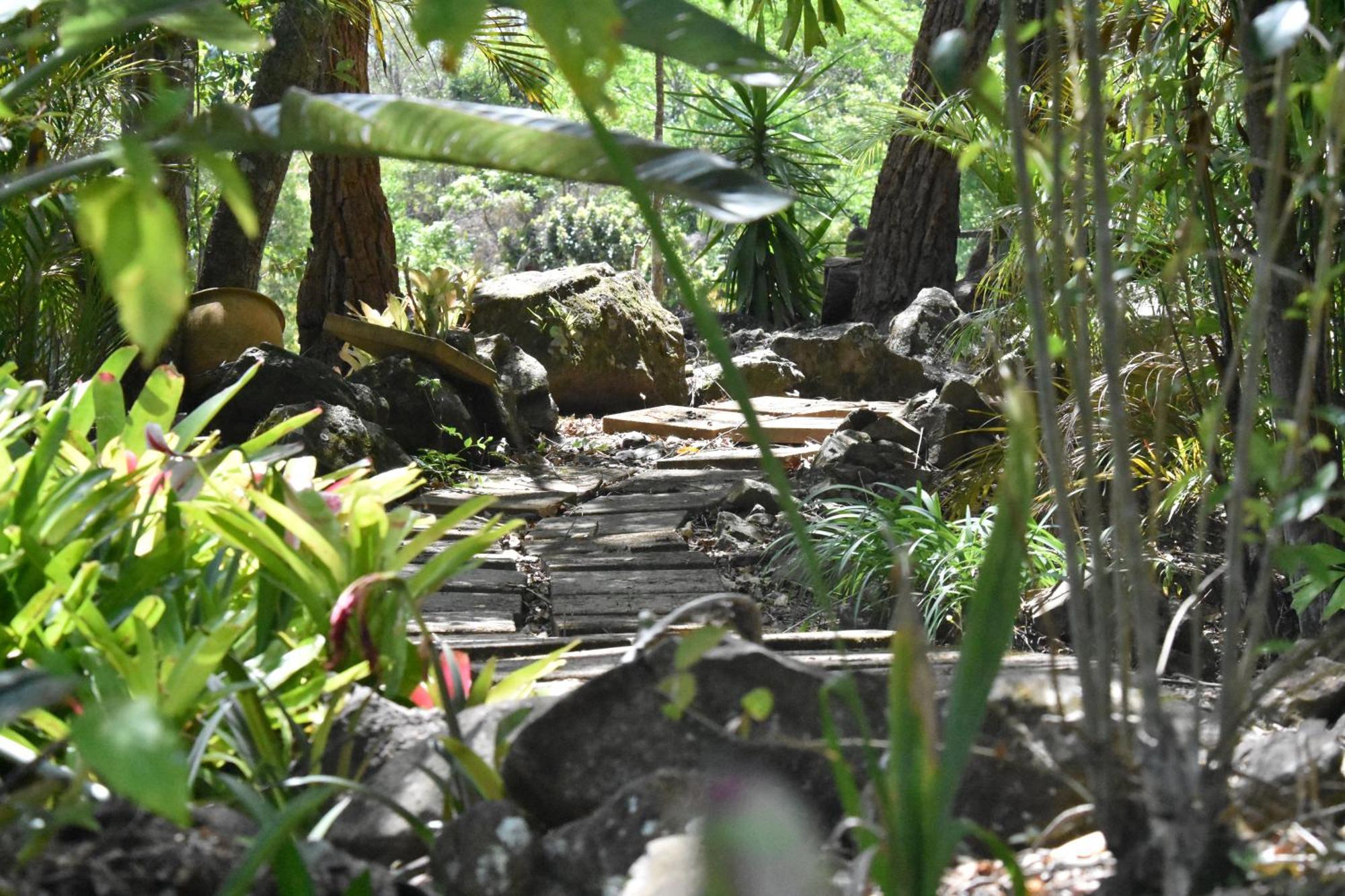 Maleny Hinterland Escape Appartement Witta Buitenkant foto