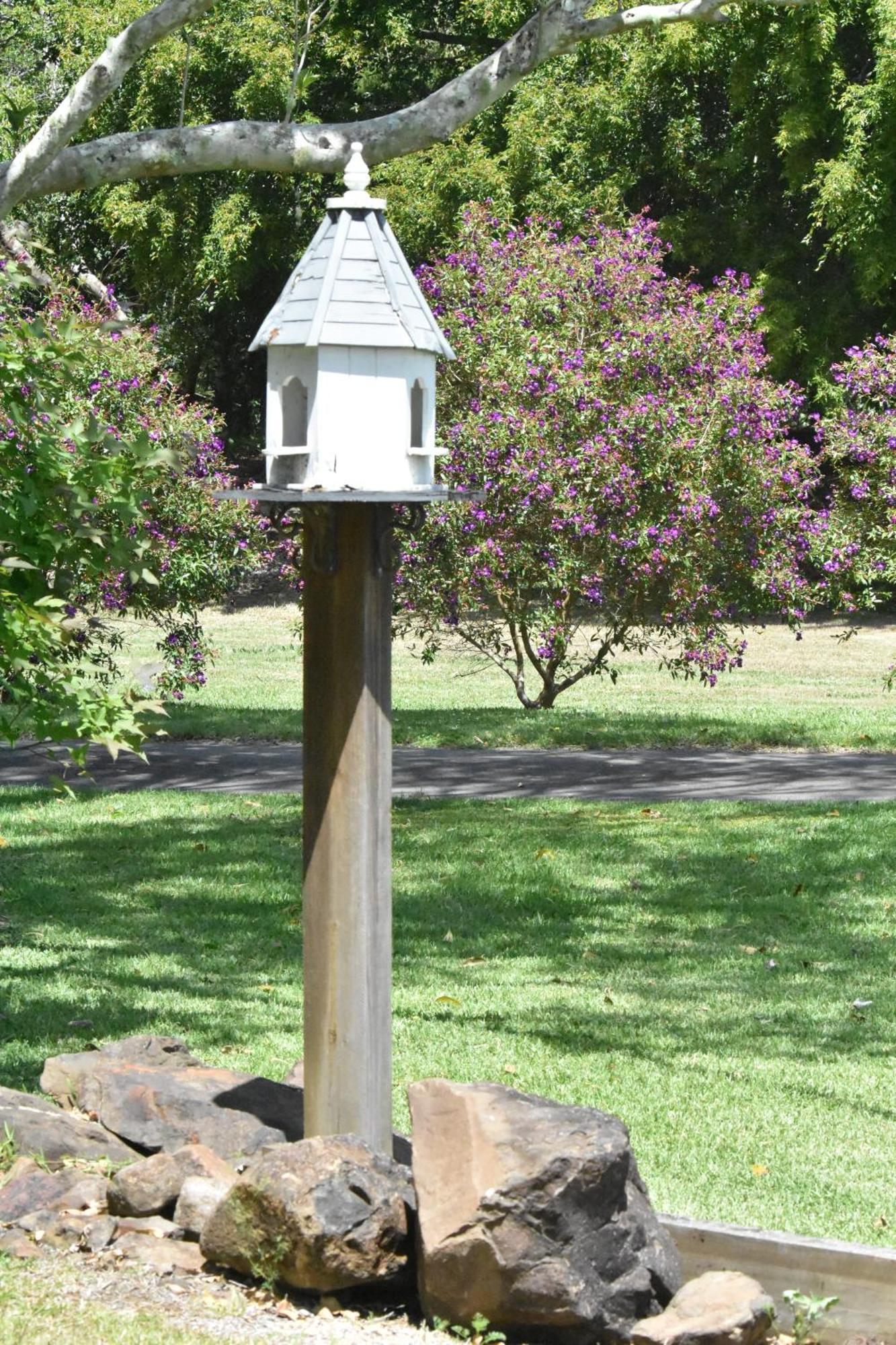 Maleny Hinterland Escape Appartement Witta Buitenkant foto