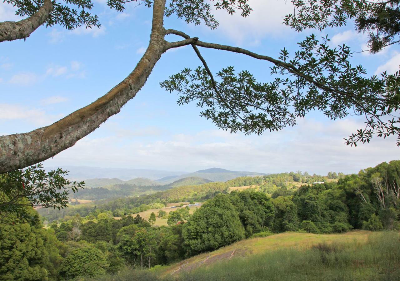 Maleny Hinterland Escape Appartement Witta Buitenkant foto